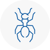 Ant Removals In Chatham