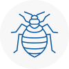 Bed Bug Extermination In Chatham