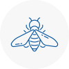 Bee Nest Removal Chatham
