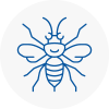 Chatham Hornet Nest Removals