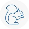 Chatham Rodent Removals